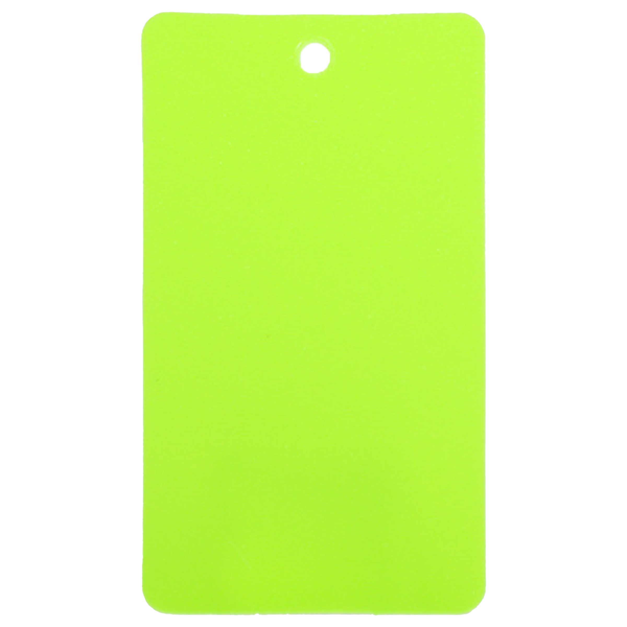 Plastic Waterproof Blank Tags 12