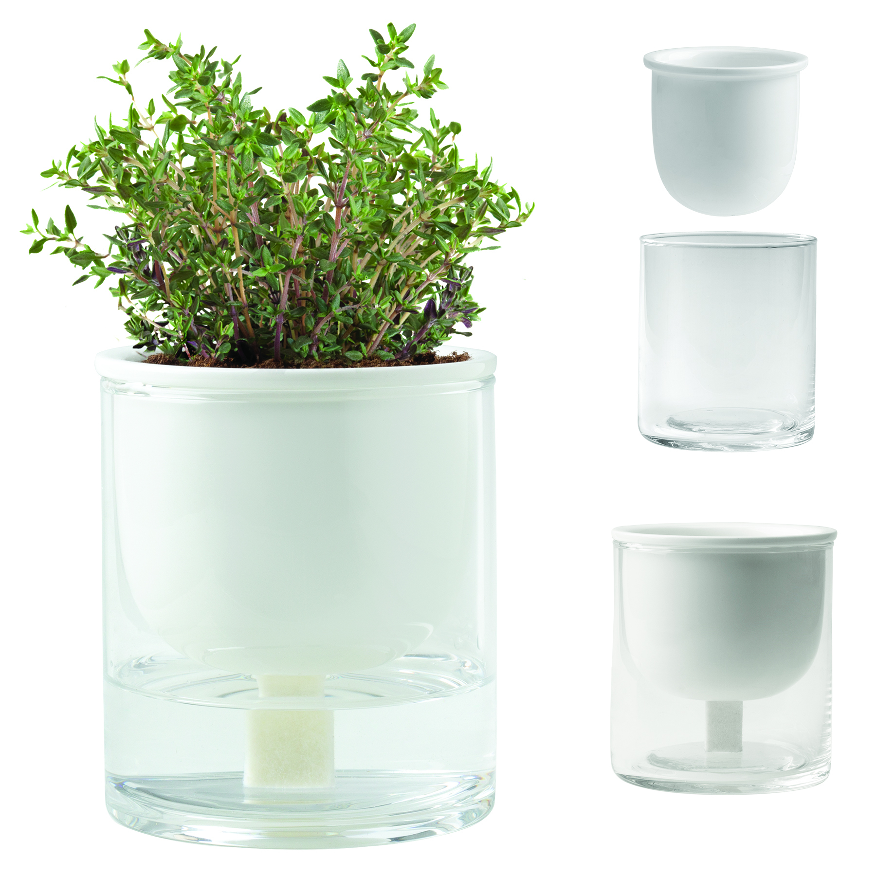 Self Watering Planter 8