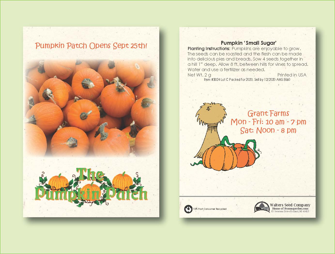 Pumpkin' Small Sugar' Seed Packet - Size 3.25" x 4.5" 2