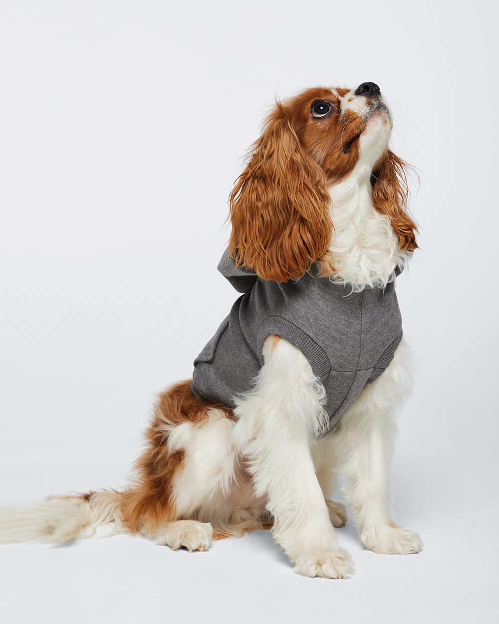 Doggie 3-End Fleece Hooded Sweatshirt - 3926 16