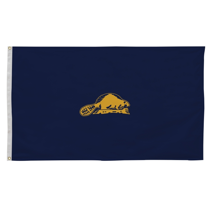 3' x 5' State Flags 37