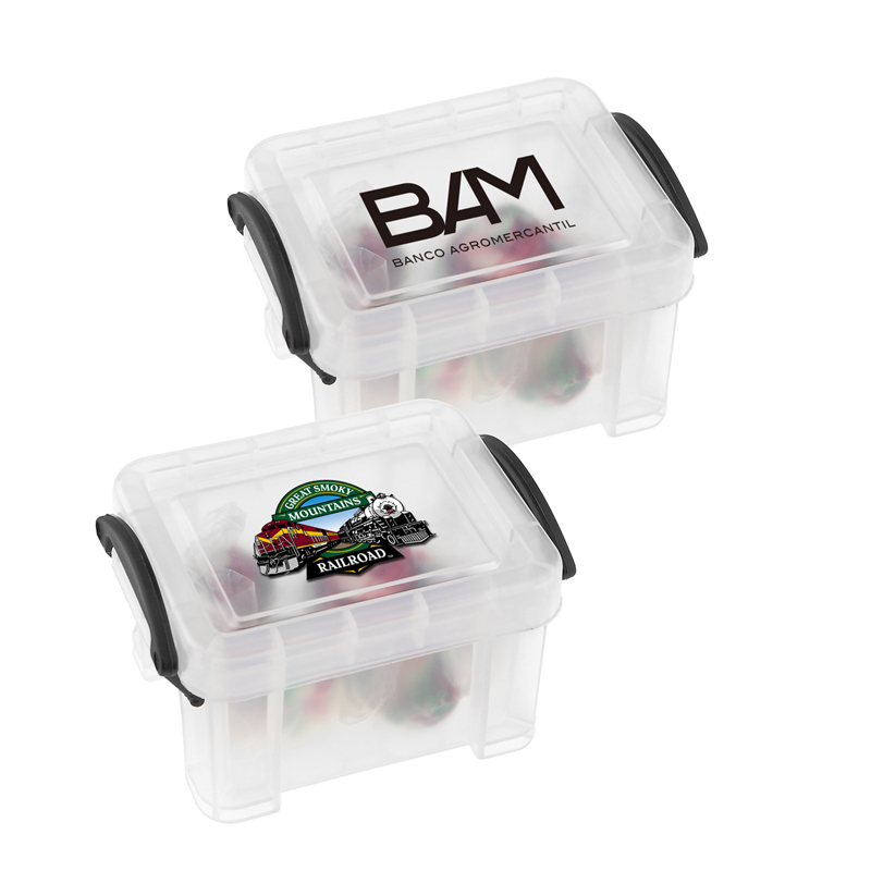 iPosh Mini Storage Case