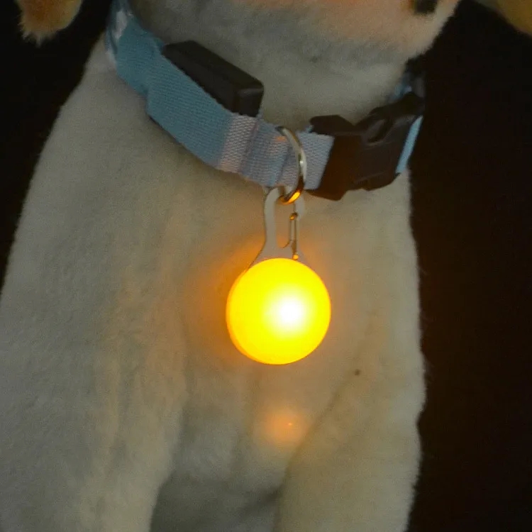 Pet Light And LED Keychain 4