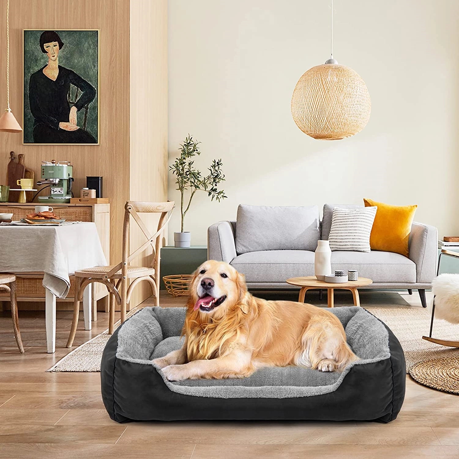 Pet Bed 2
