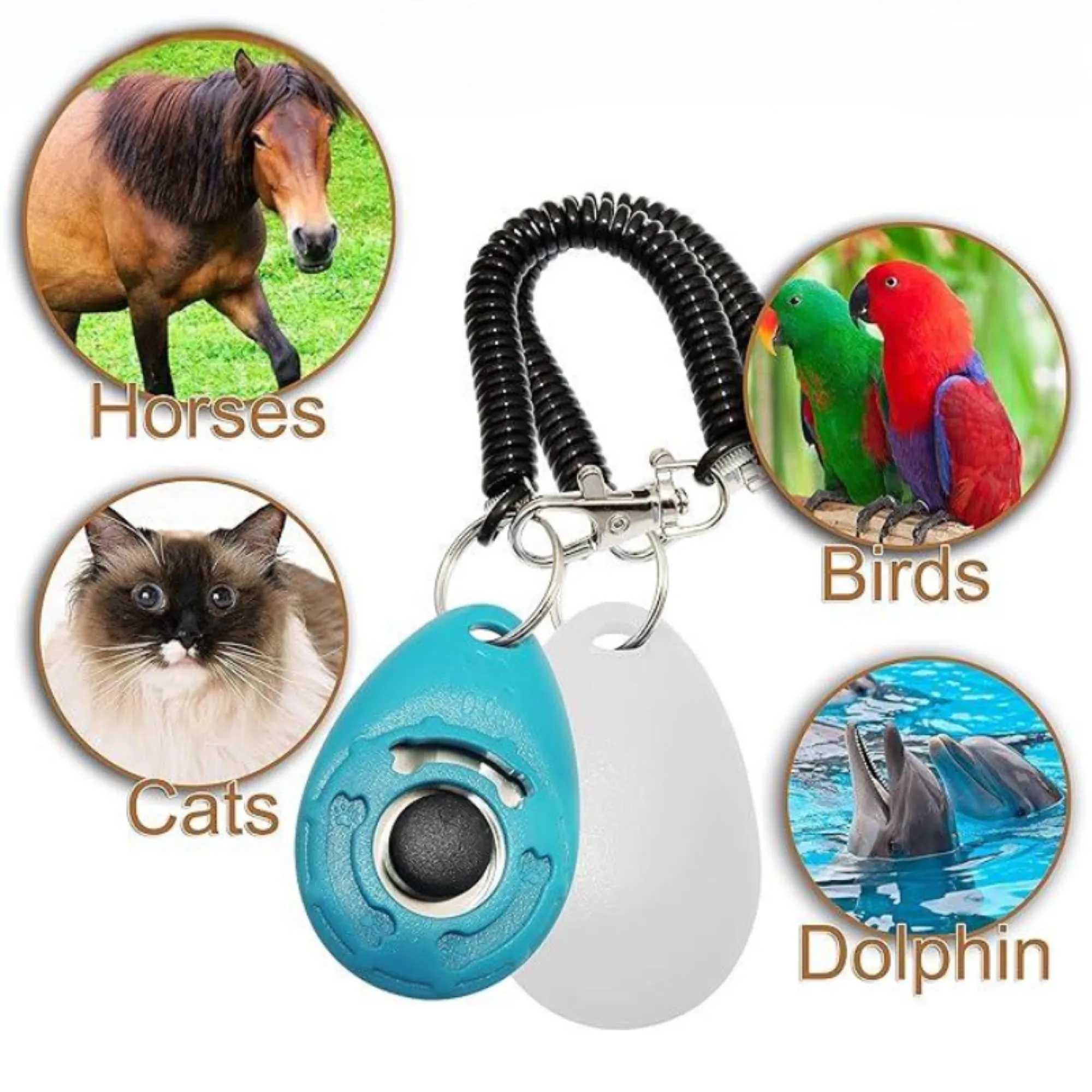 Pocket Training Dog Clicker 5
