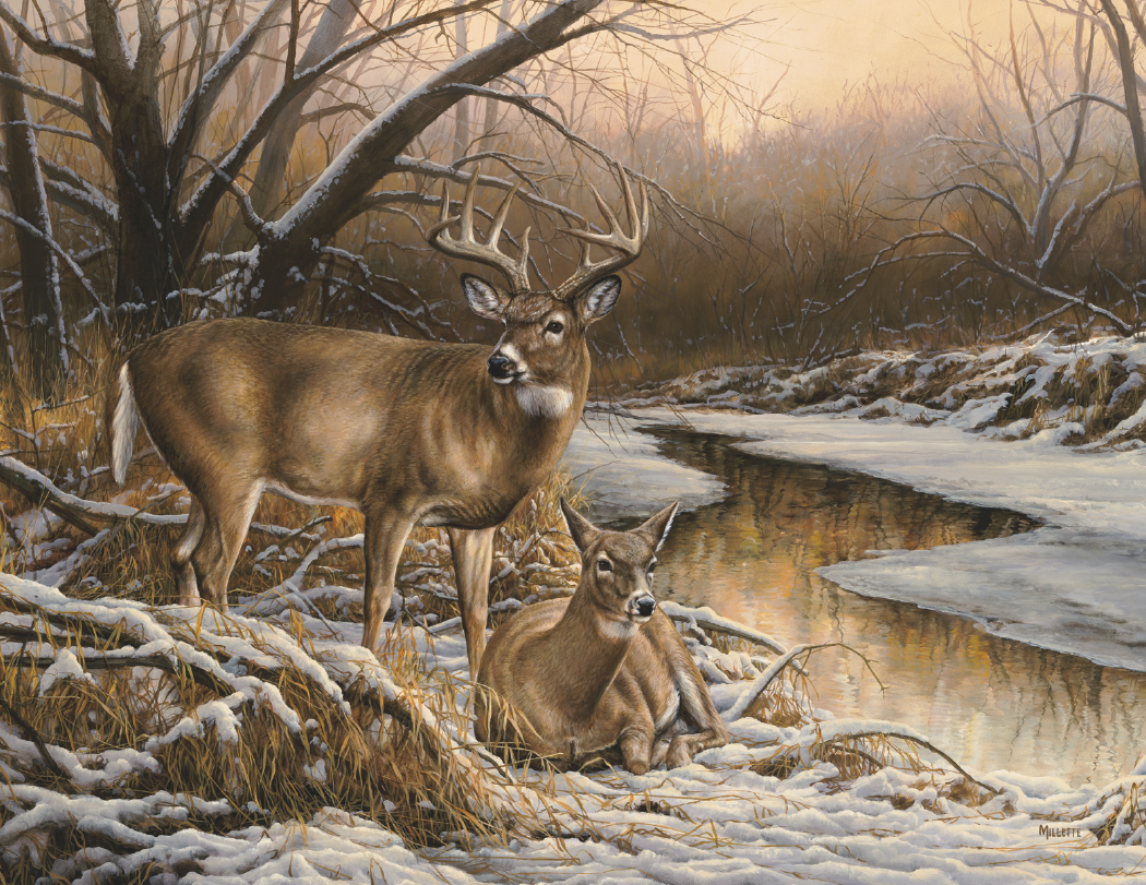 HotLine® Products Wildlife Collection Appointment Calendar - Stapled 44