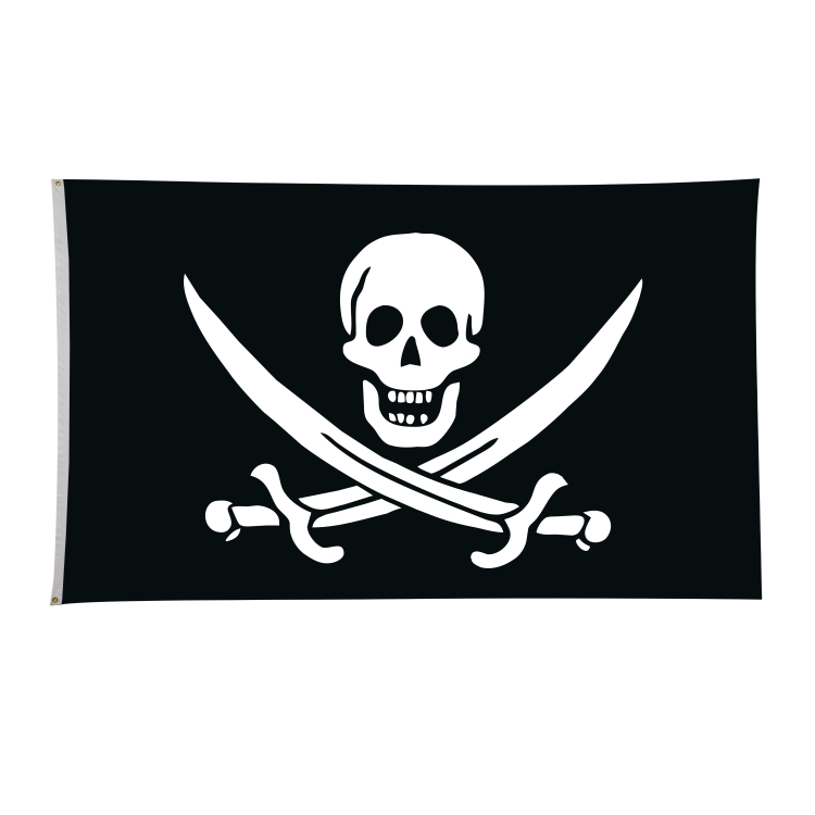 6' x 10' Historical Flags 44