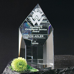 Summit Award 6