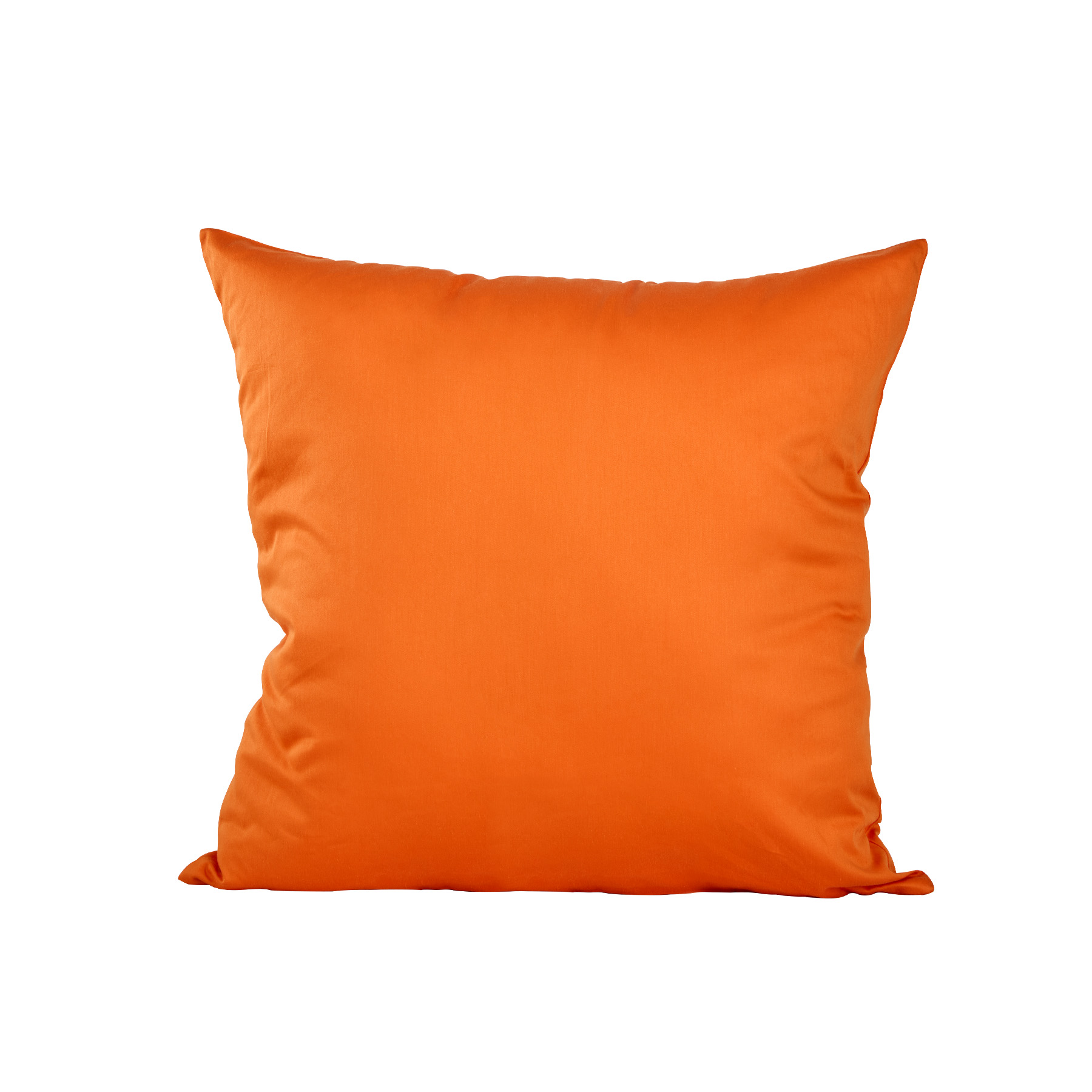 18X18 Inch Cotton Throw Pillow 8
