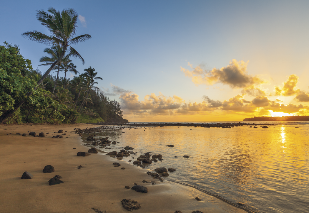 HotLine® Products Our Beautiful America® Executive Calendar 1