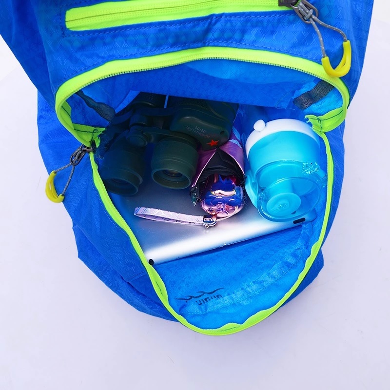 Foldable School Backpack 6