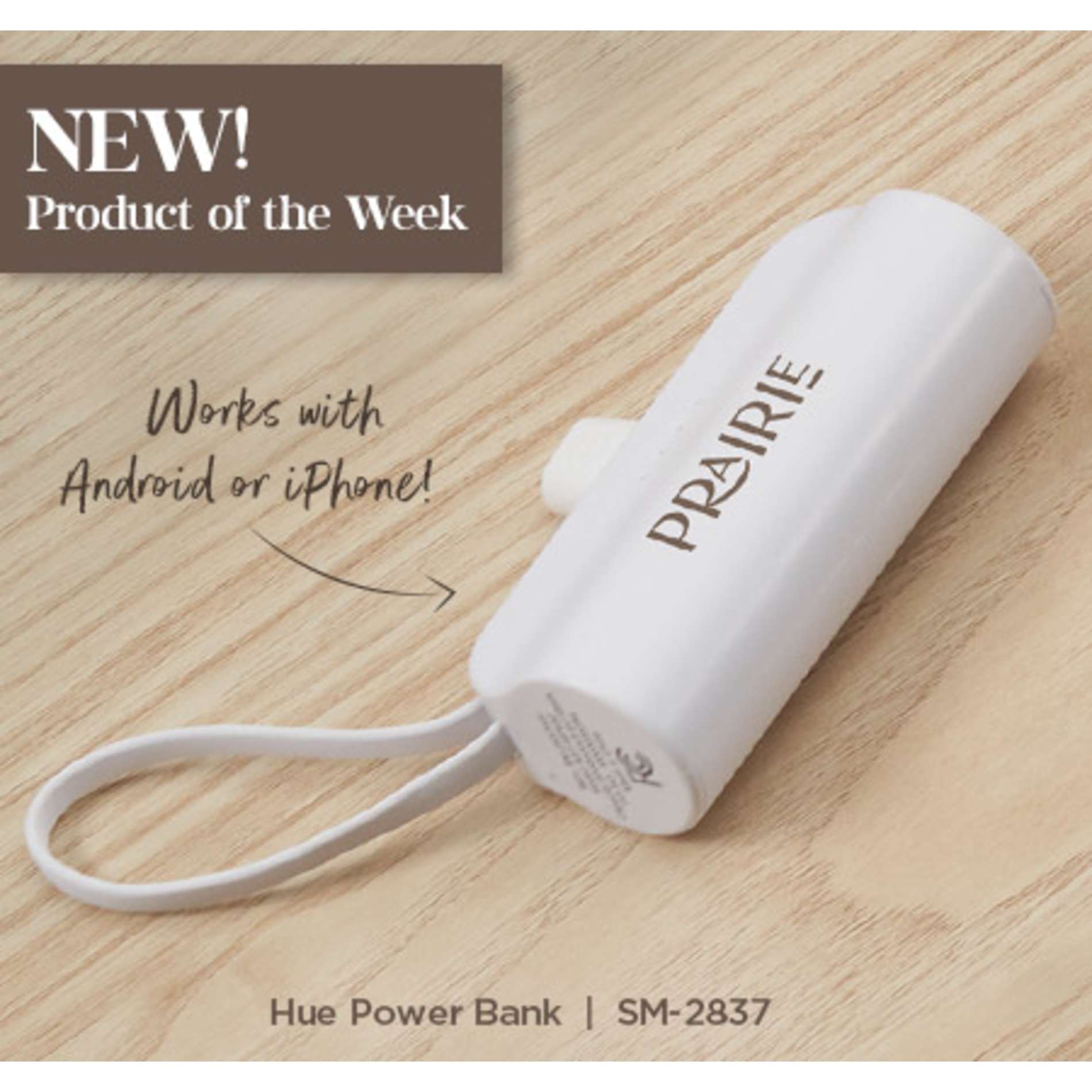 Hue 5000 mAh Power Bank with Multi Tips 92