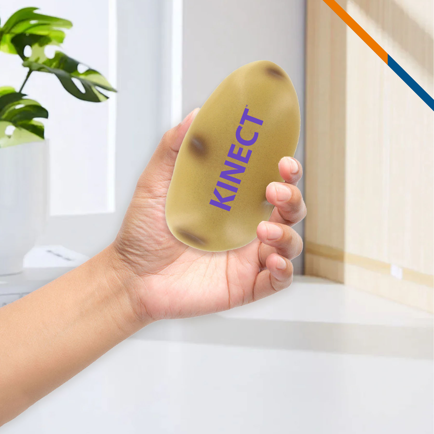 Aonia Potato Stress Ball 4