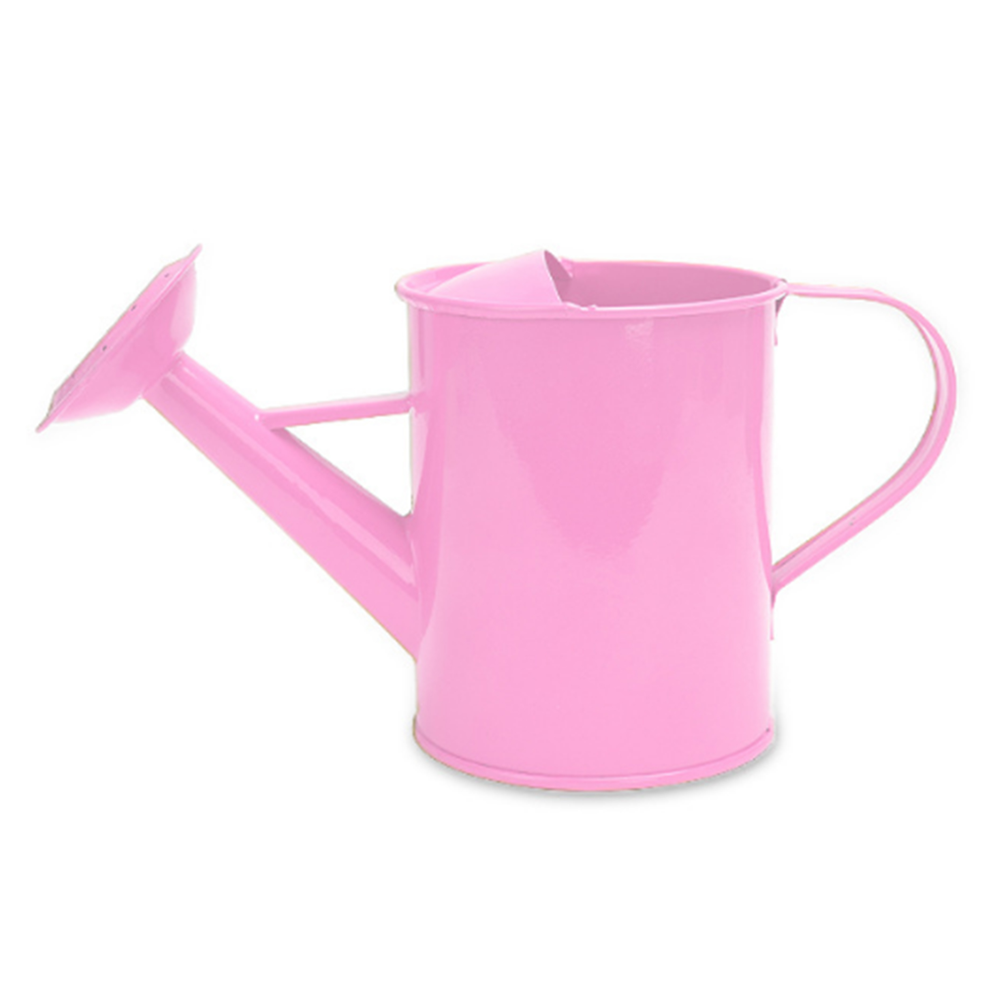 MOQ 50 PCS Sturdy 20oz Gardening Iron Watering Can 2