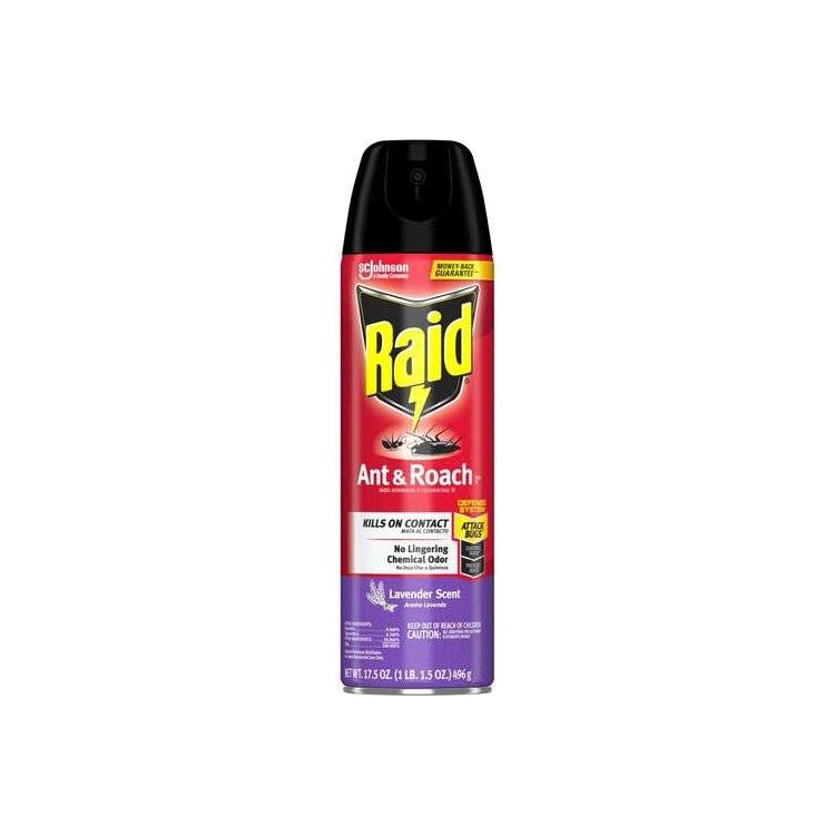 Raid Ant & Roach Killer Spray - 12 Pack 1