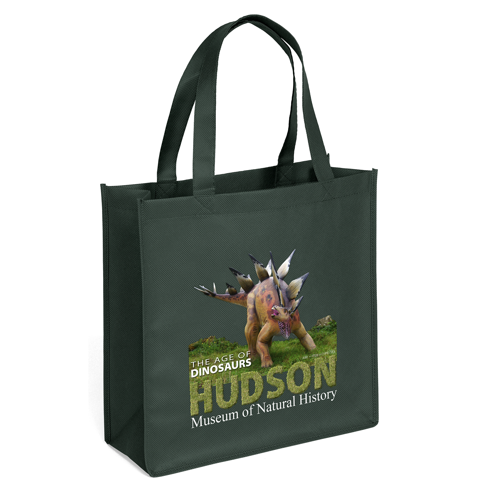 Abe - Celebration Tote Bag - ColorVista 14