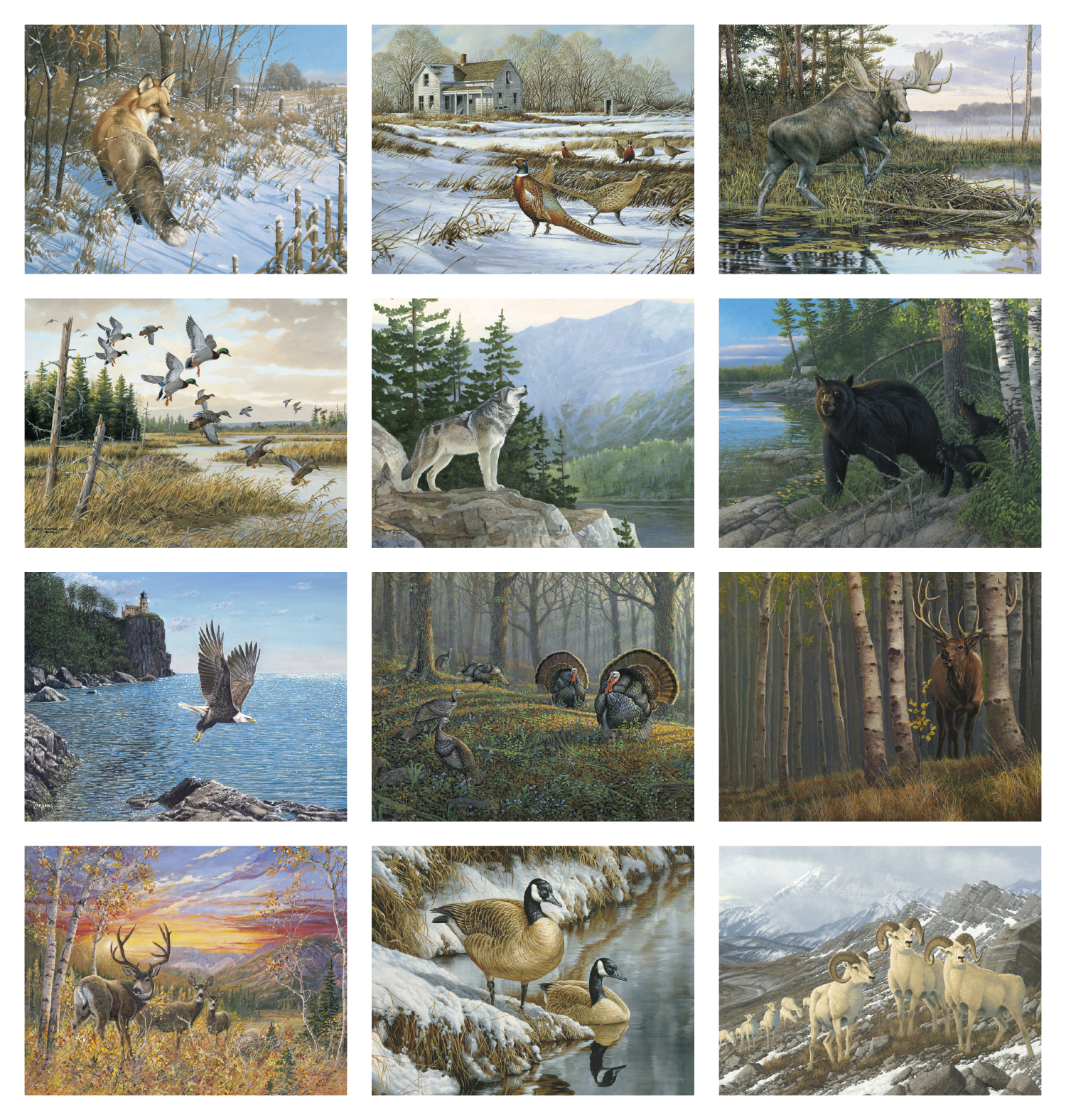 HotLine® Products Wildlife Collection Appointment Calendar - Stapled 53