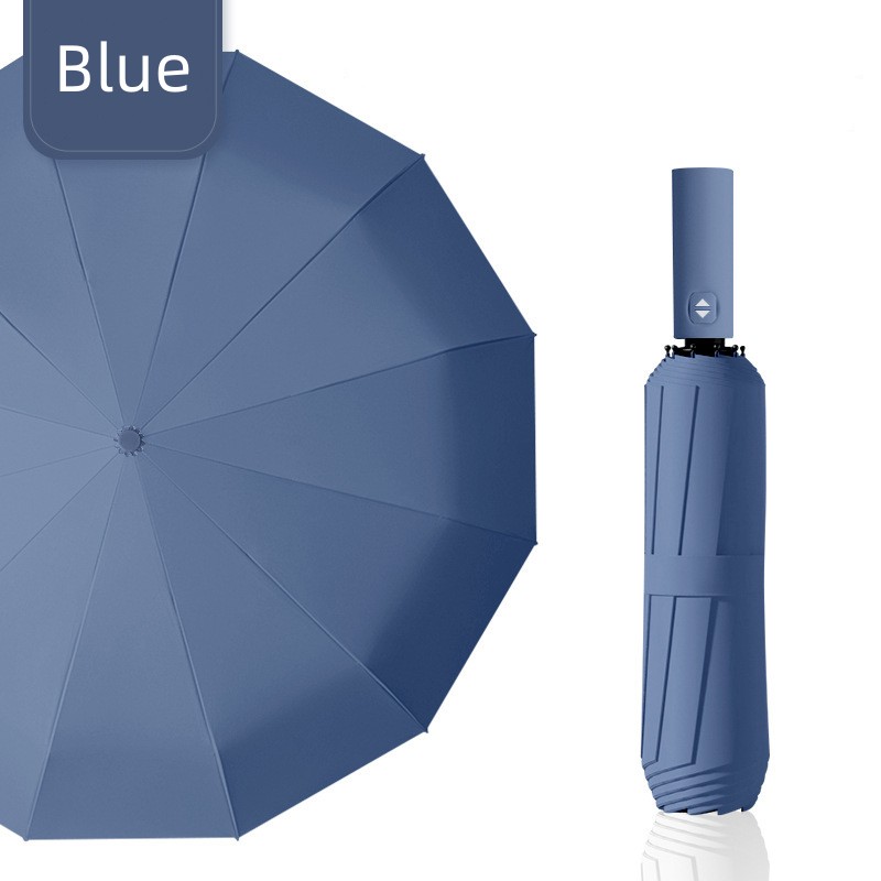 Curved Folding Umbrella Summer Parasol 1