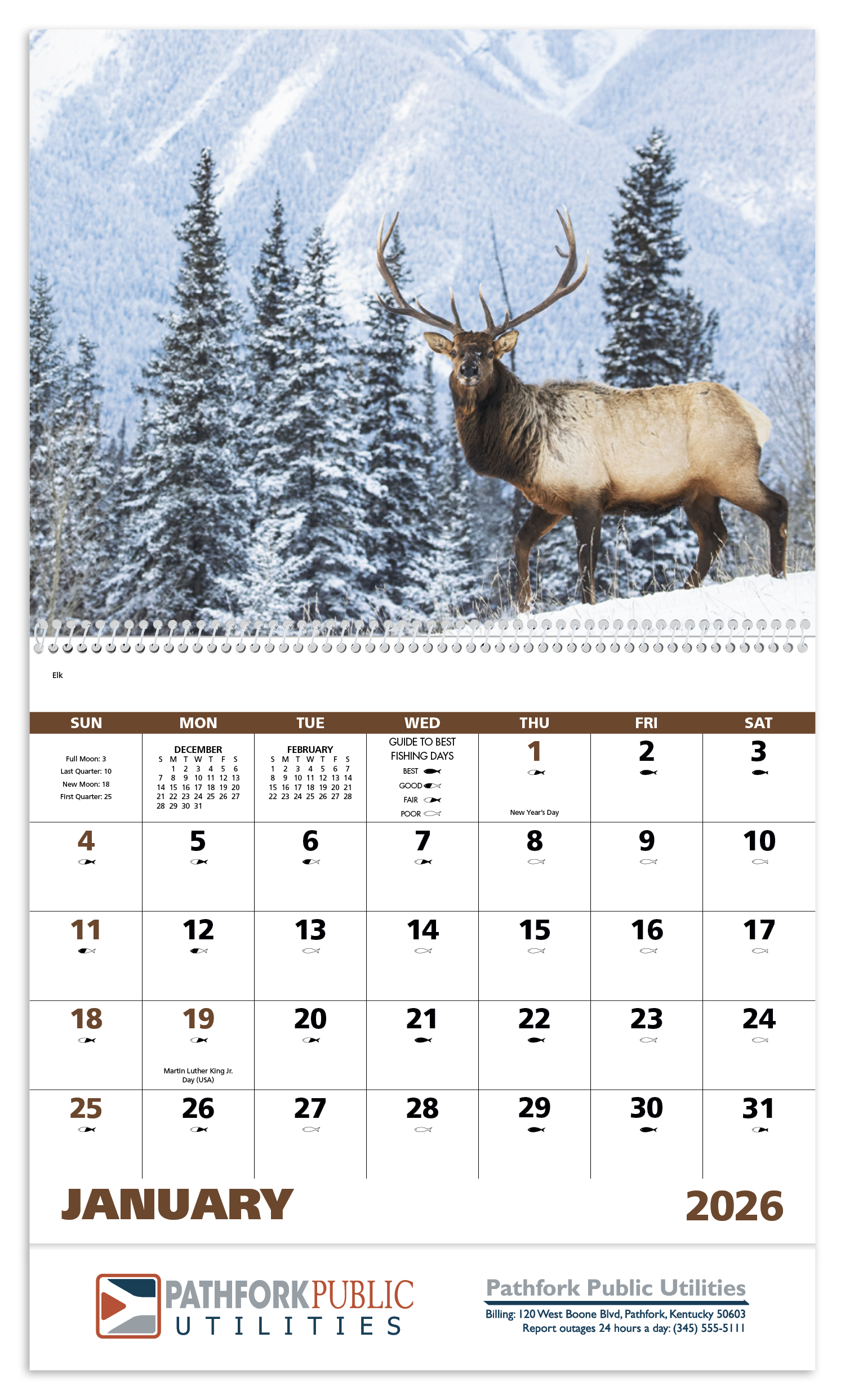 Good Value™ Wildlife Portraits - Spiral Calendar 60