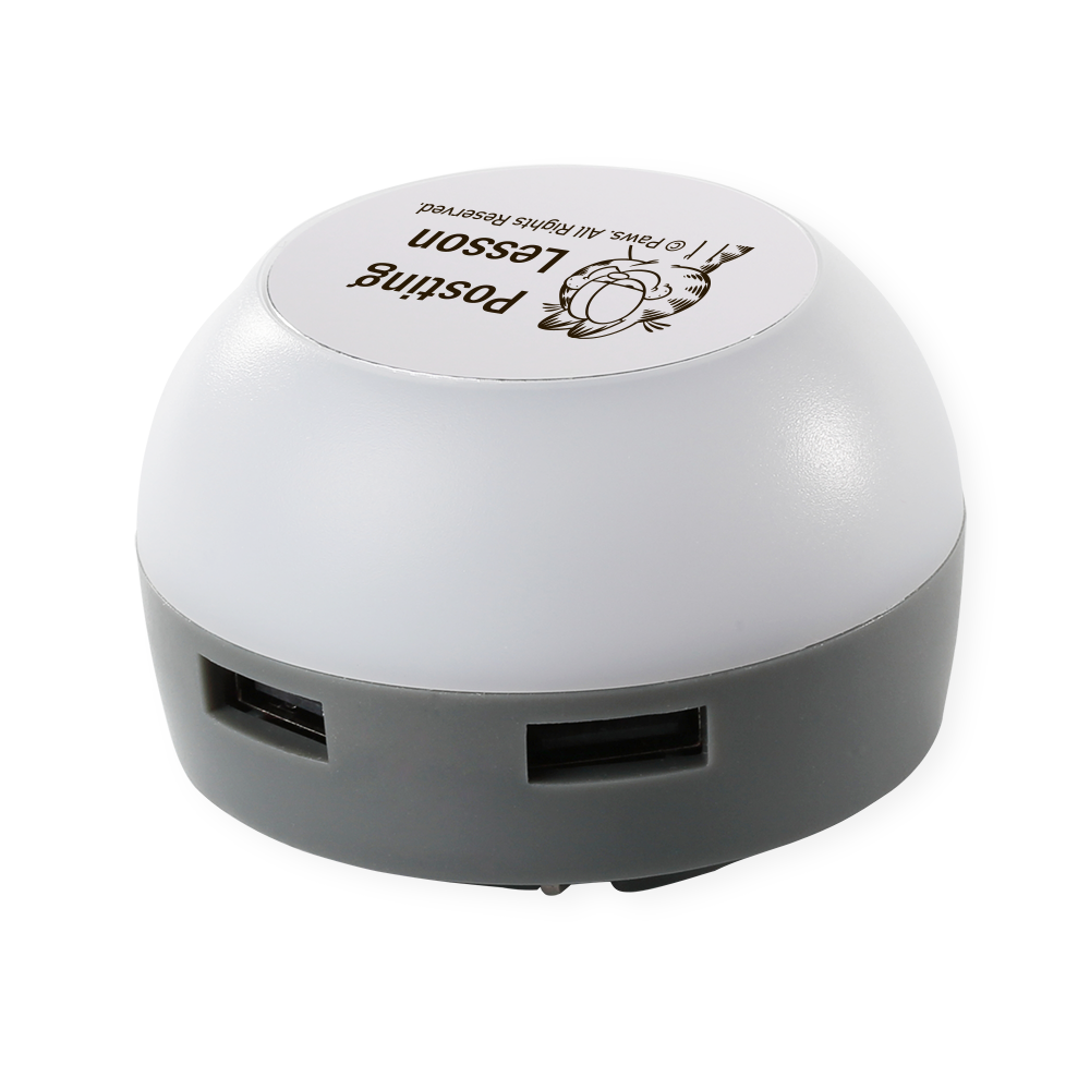 Ludlam ETL 2-Port Wall Charger Night Light 3