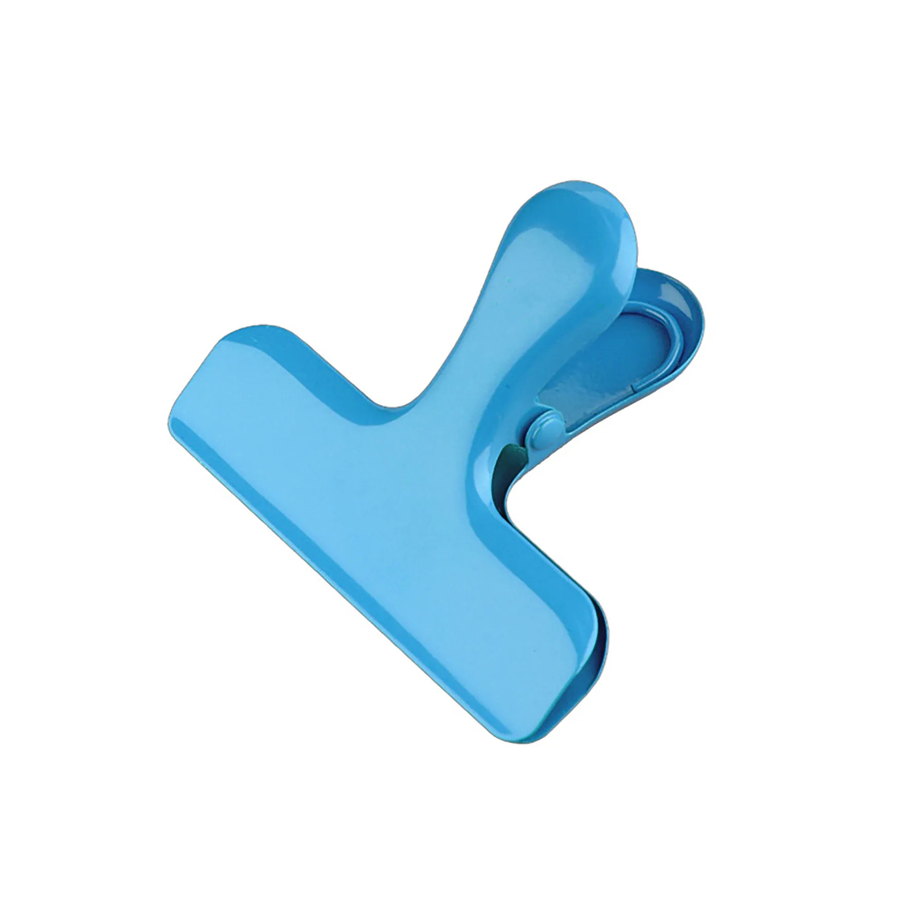 Stainless Steel  Clips 2