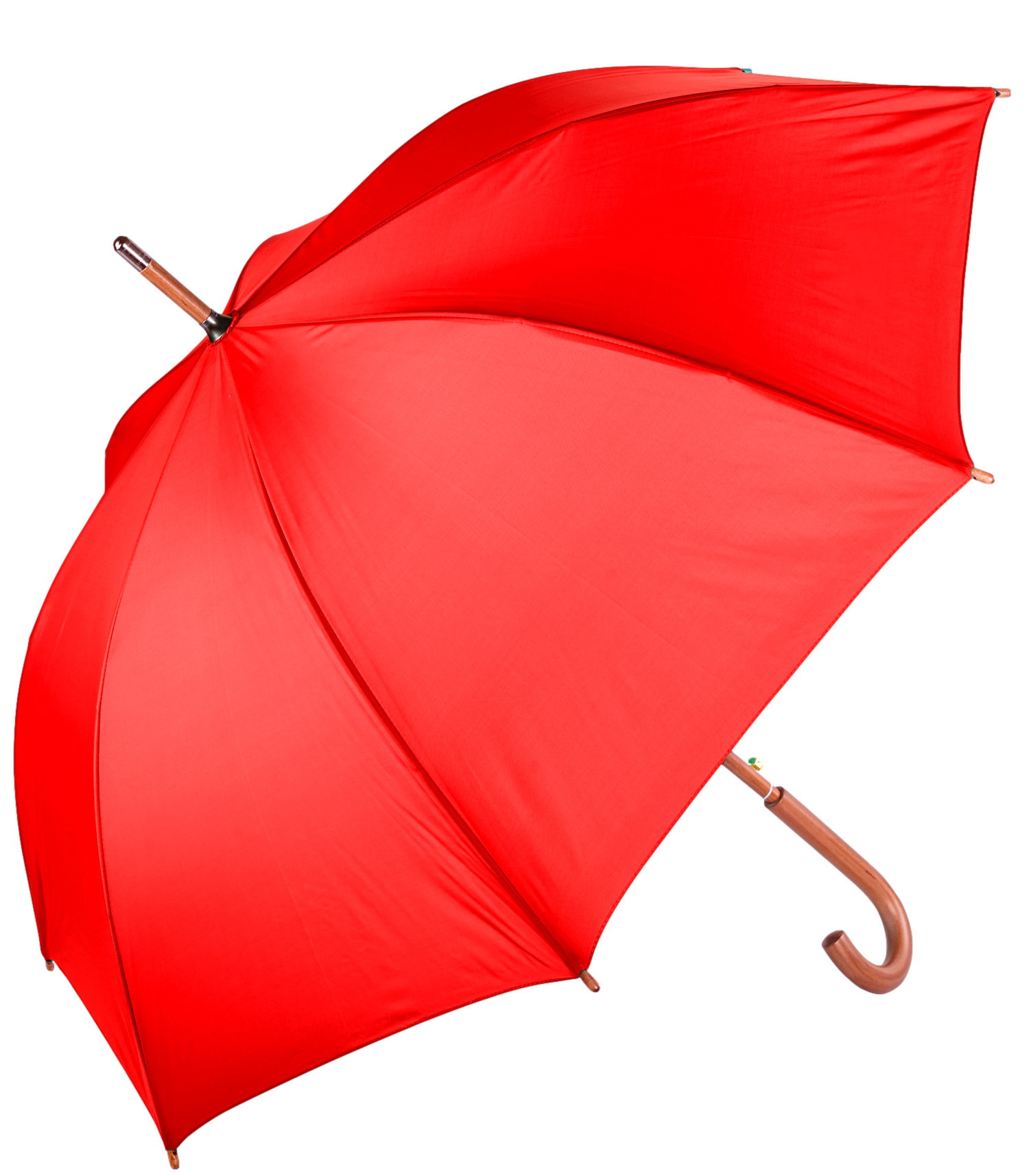 The Hotel Umbrella 4