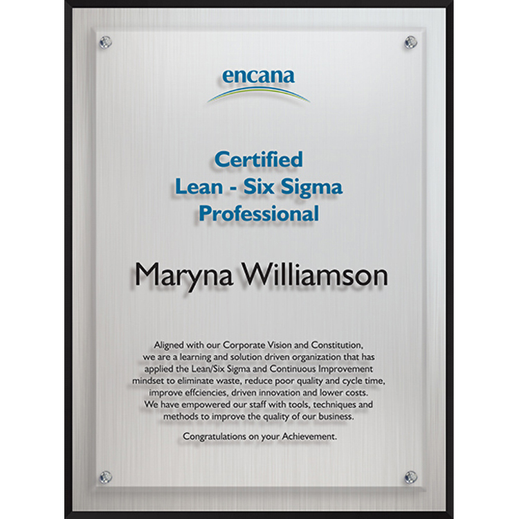 Large Econo Plaque (9"x 12"x 1") Screen-Printed