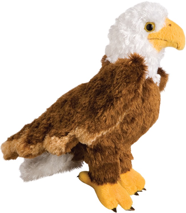 Colbert Eagle 2