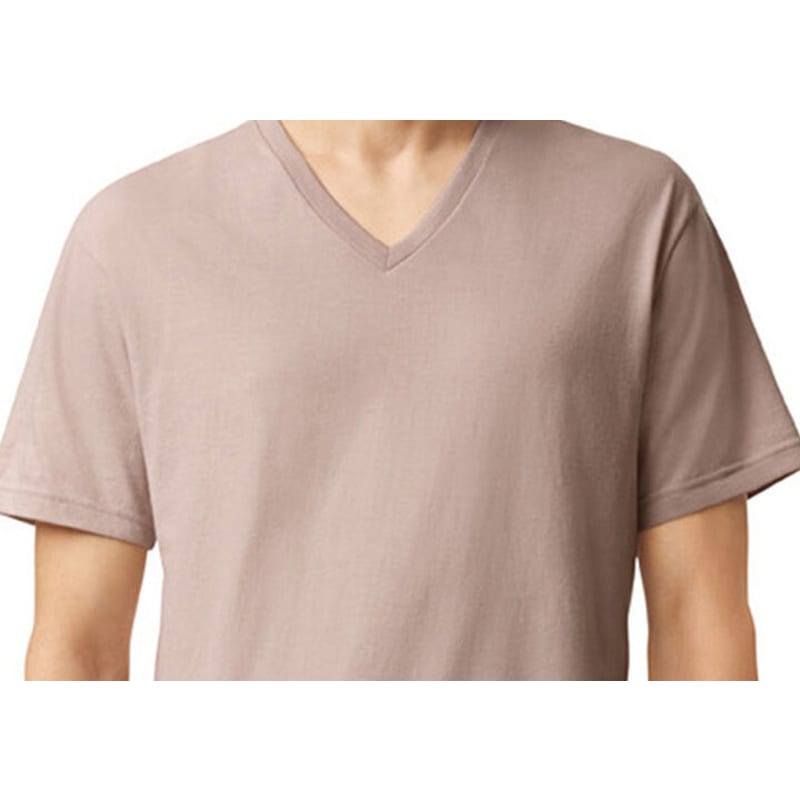 American Apparel Unisex CVC V-Neck T-Shirt 10