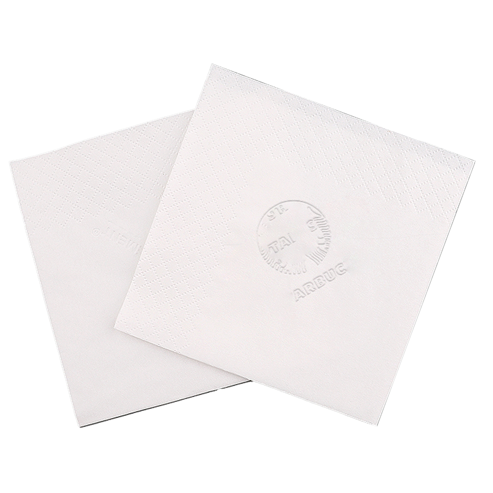 2Ply 4.5" x 4.5" Embossed Dinner Napkin 3