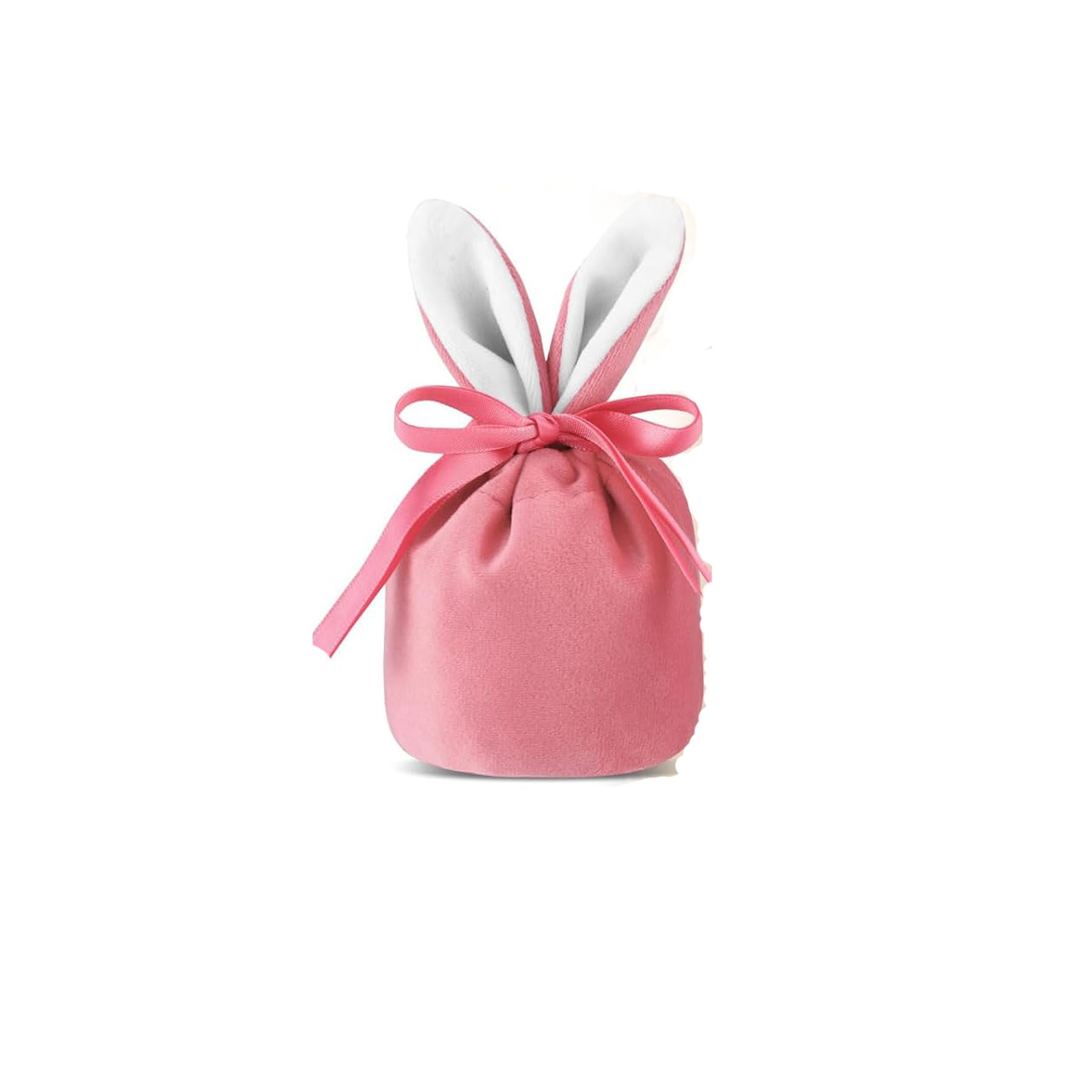 Easter Bunny Gift Bag 2