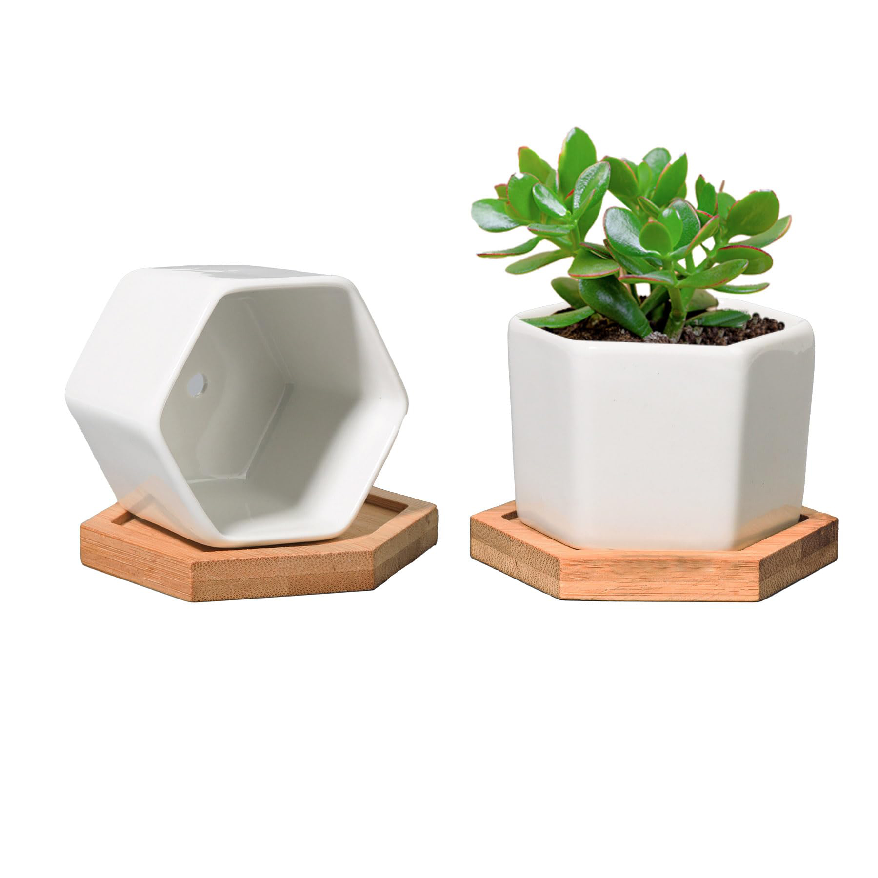 Small White Succulent Planter Pots 2