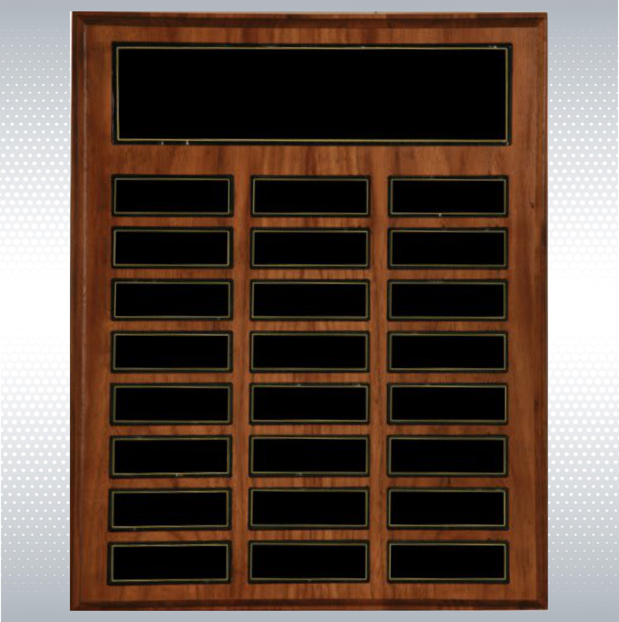 24 Plate Recognition Pocket Perpetual Plaque (12"x15") 5