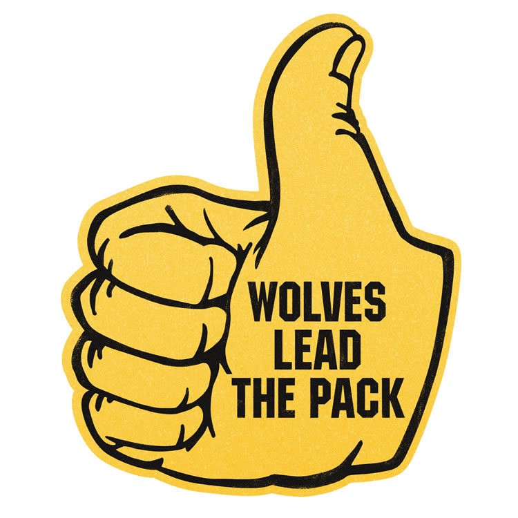 14" Thumbs Up Foam Mitt 7