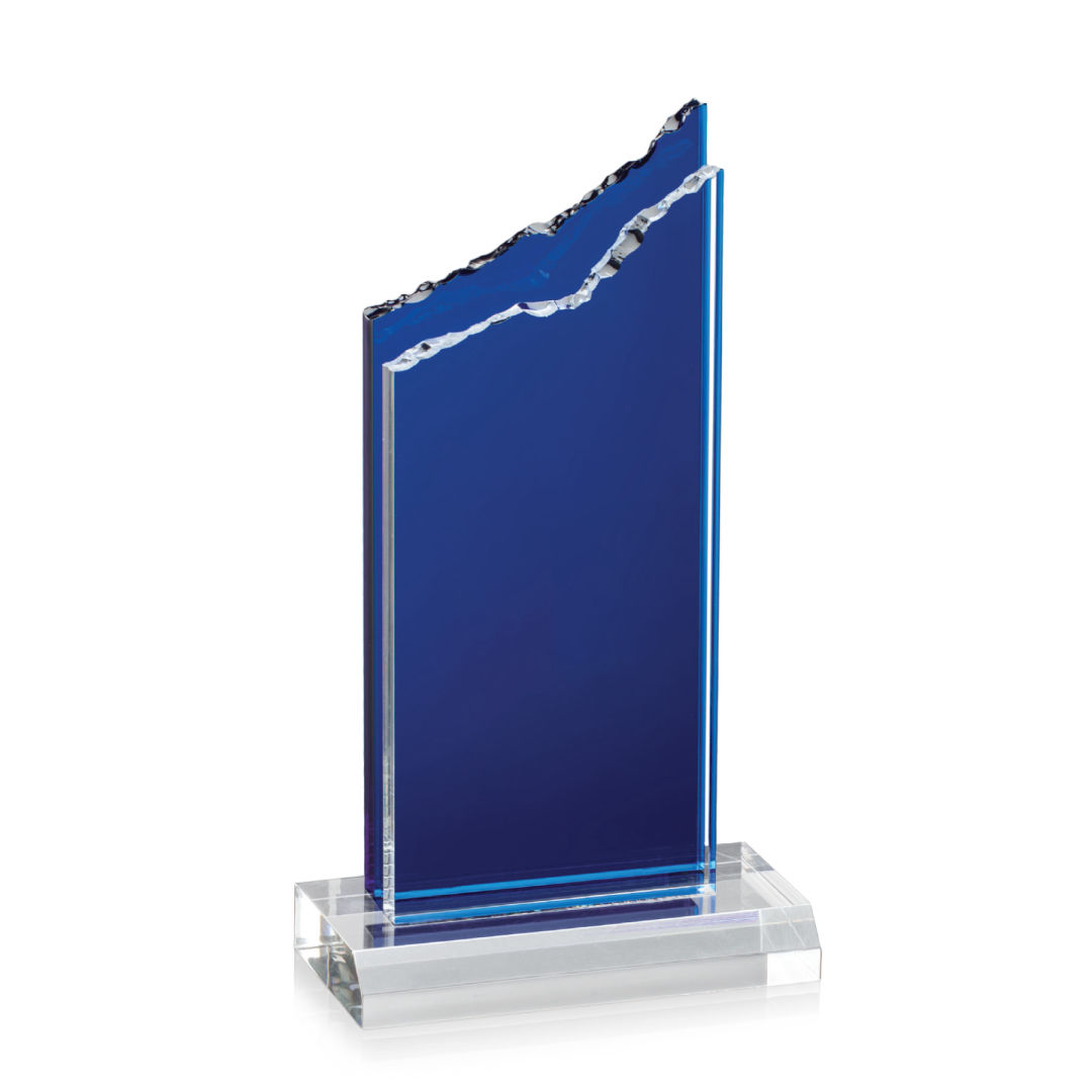 Barron Award 11