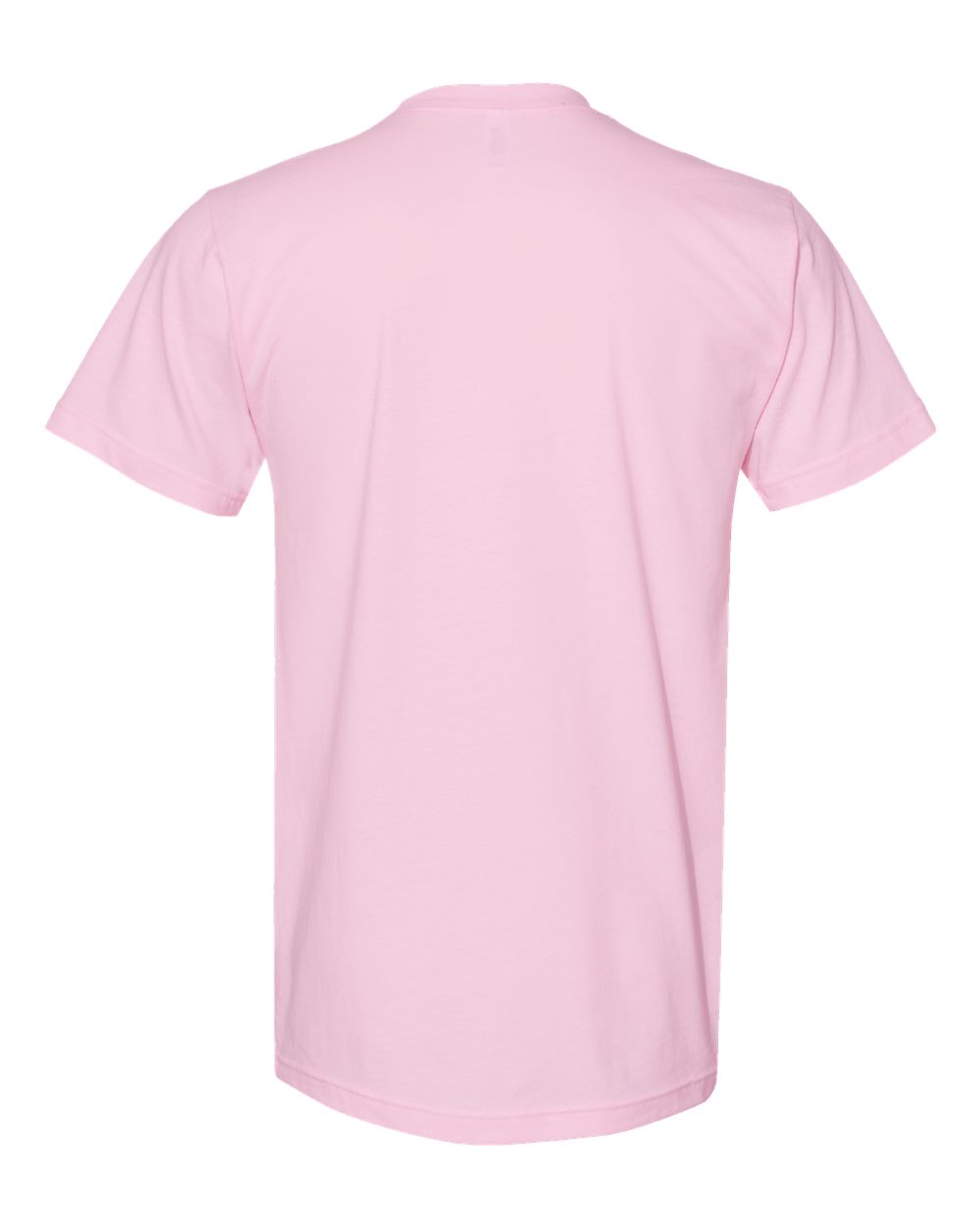 Unisex Fine Jersey Tee - 2001 83