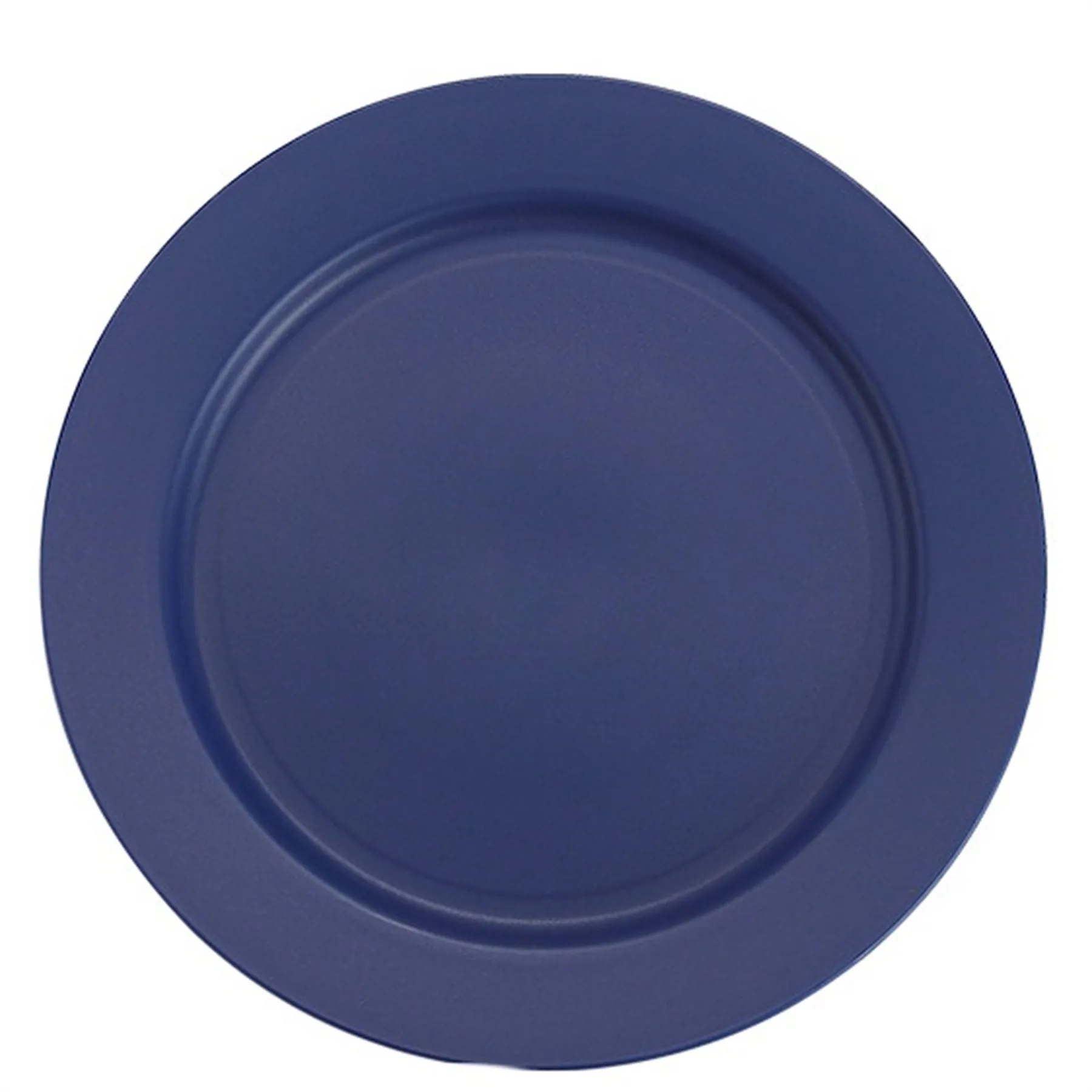 Plastic Plate 9.8 Inch 12