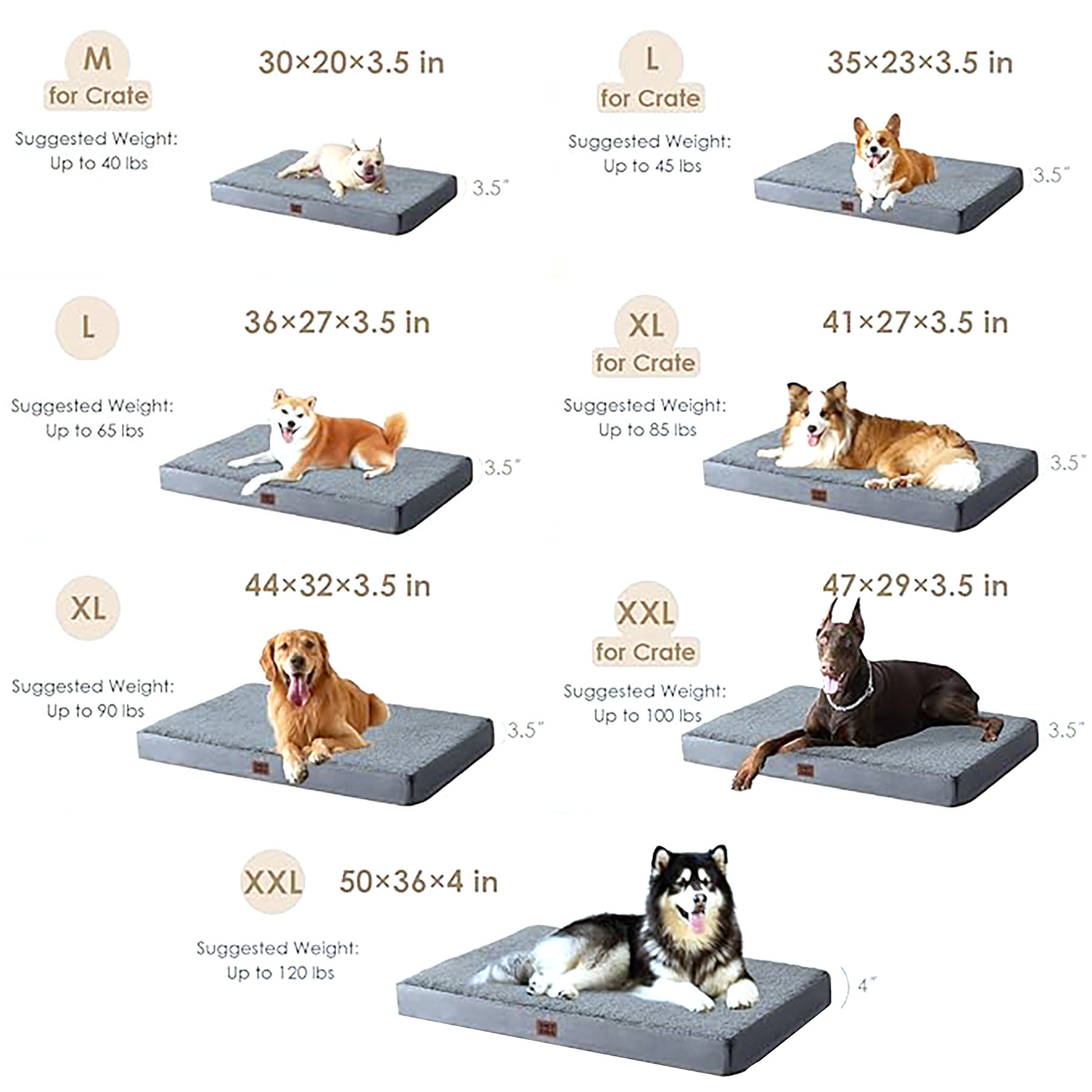 Dog Beds 12