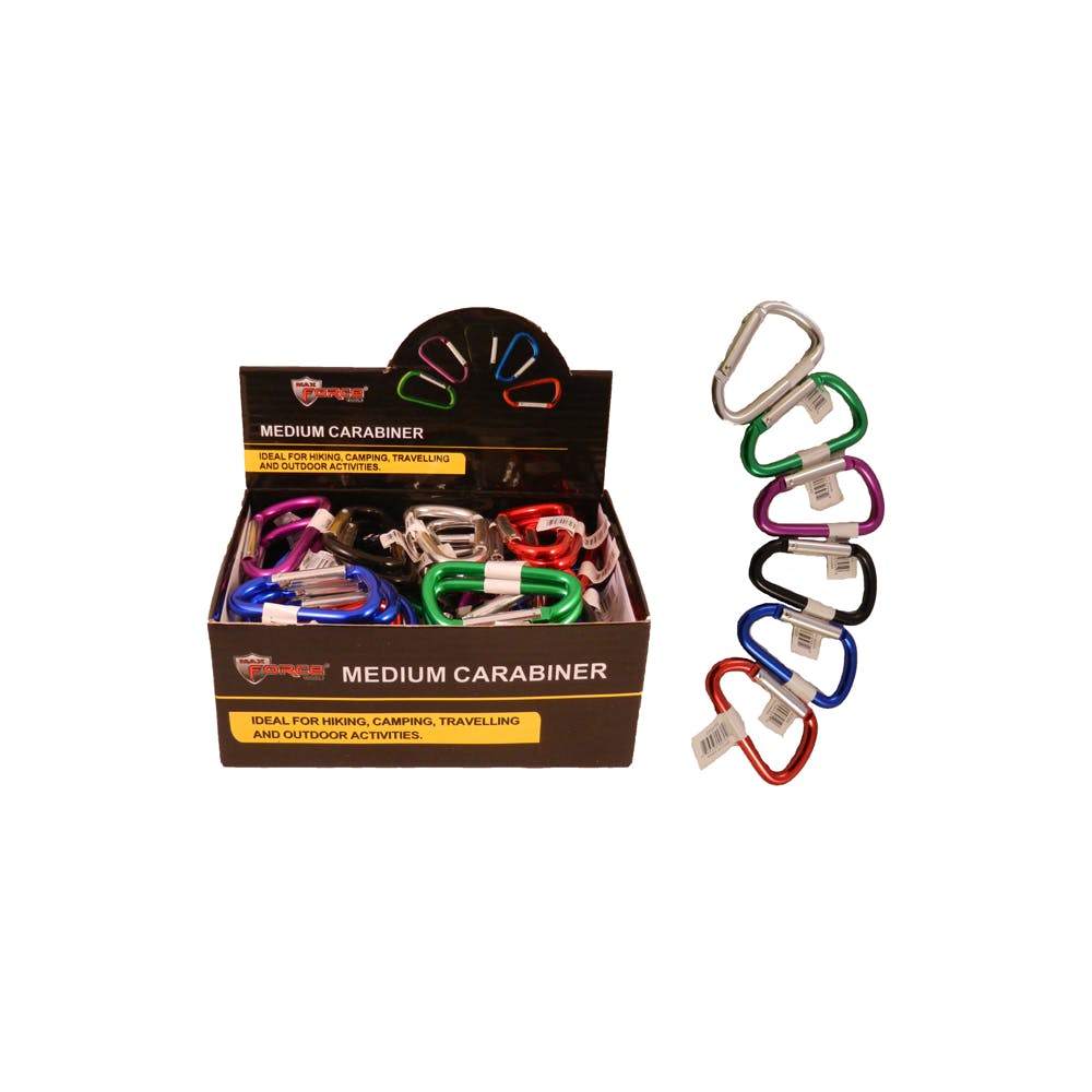 Carabiner Keychains Assorted Medium