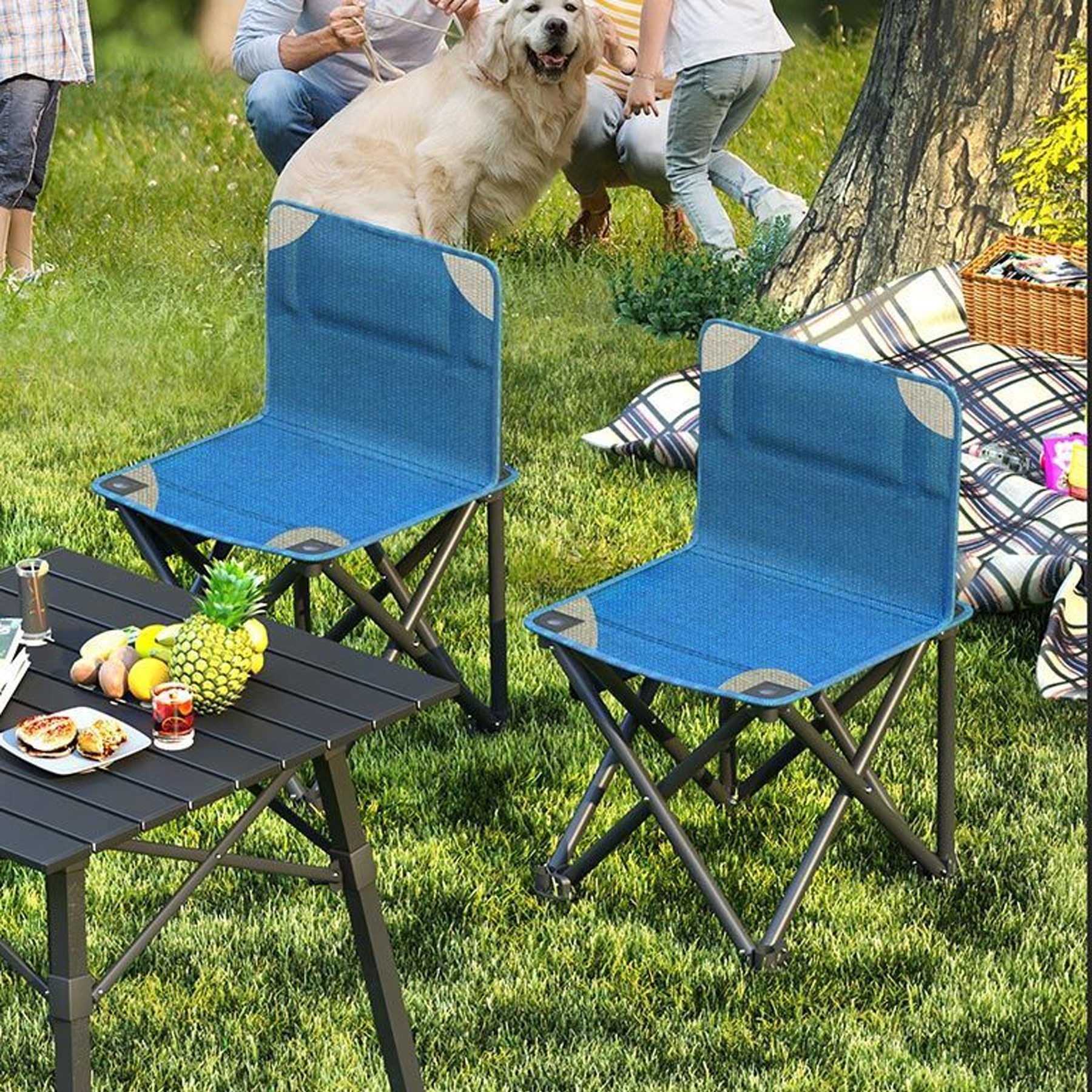 Outdoor Portable Folding Fishing Camping Chair 3
