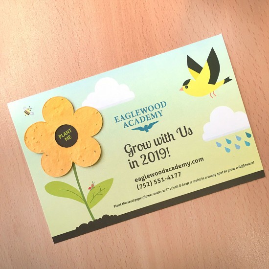 Plant Me Flower Medium Eco Panel Cards 4
