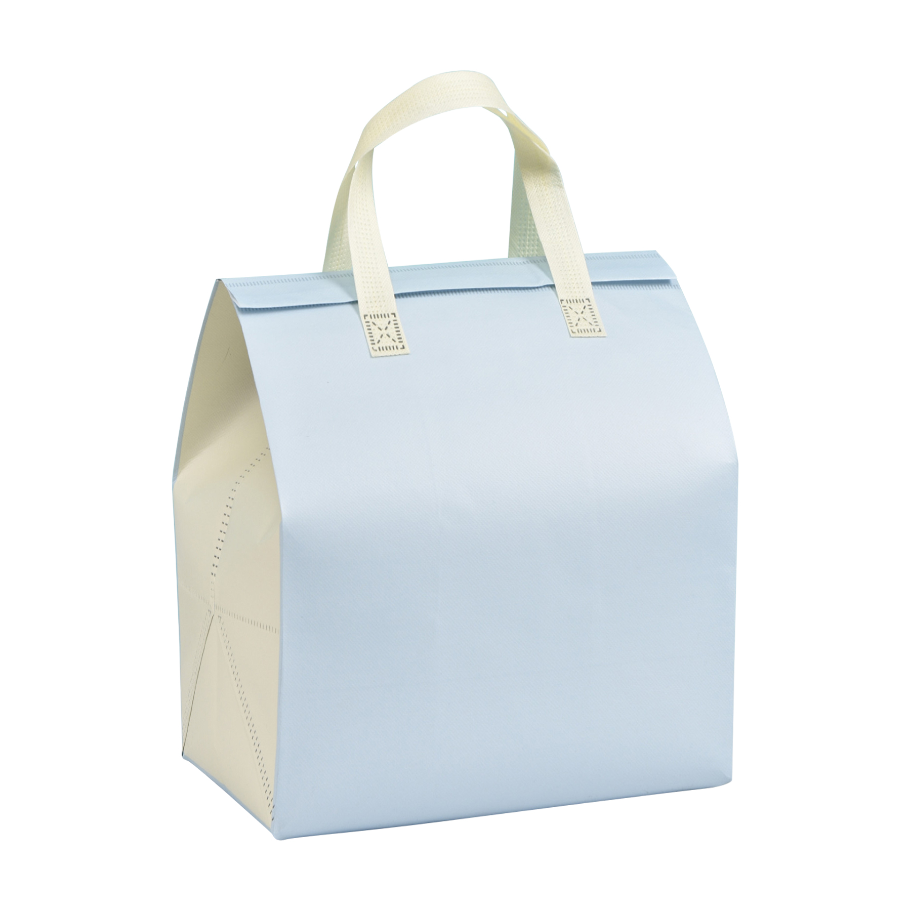 Aluminum Foil Insulated Bag 13