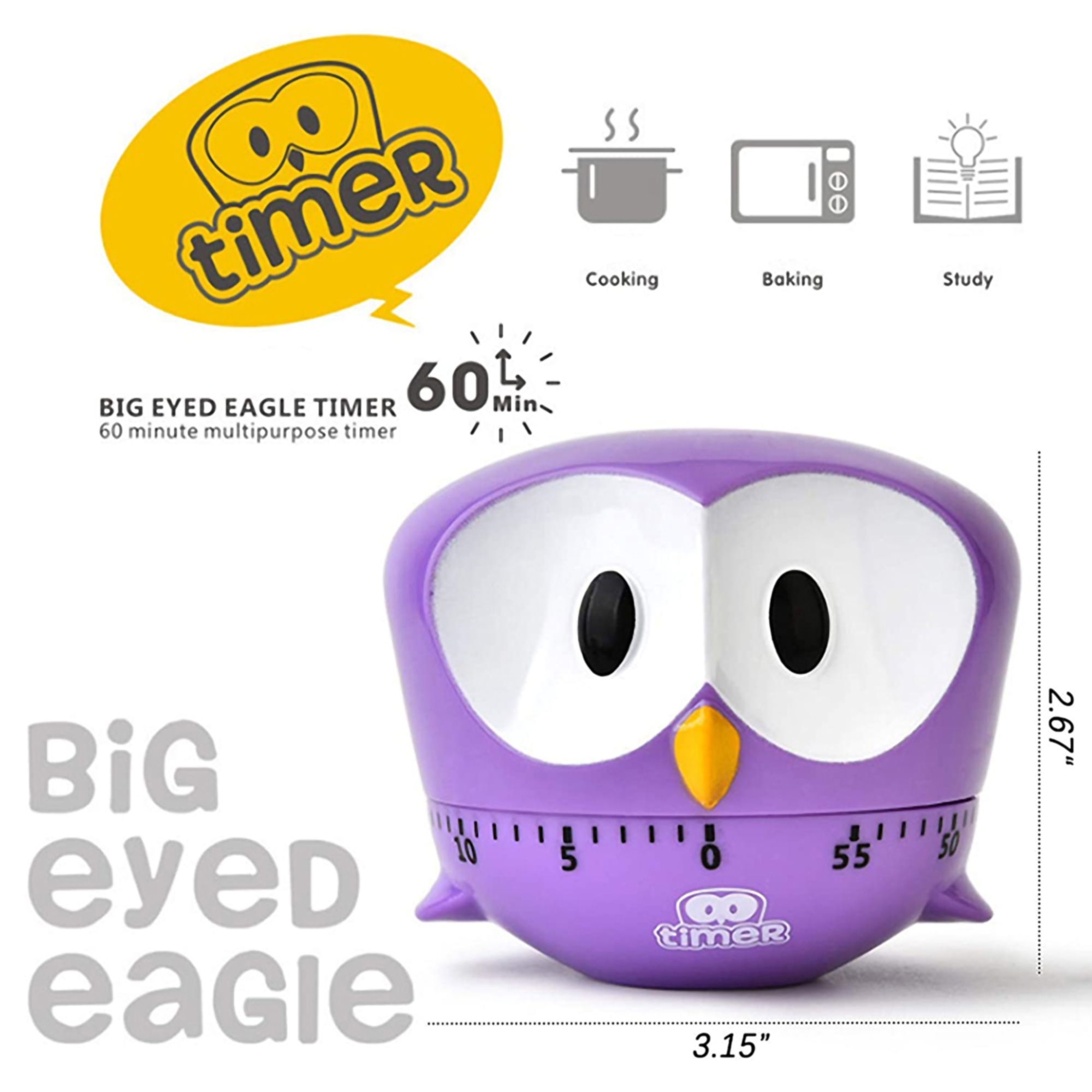 Big Eyed Eagle Kitchen Timer 3