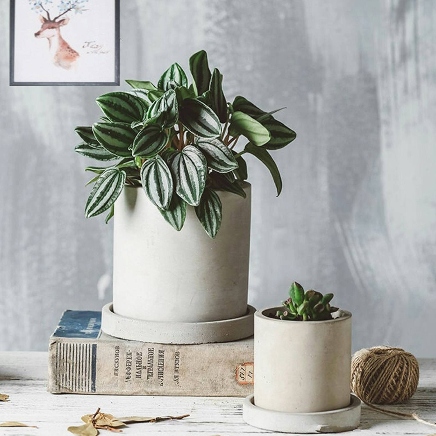 Cement Concrete Flowerpots 2