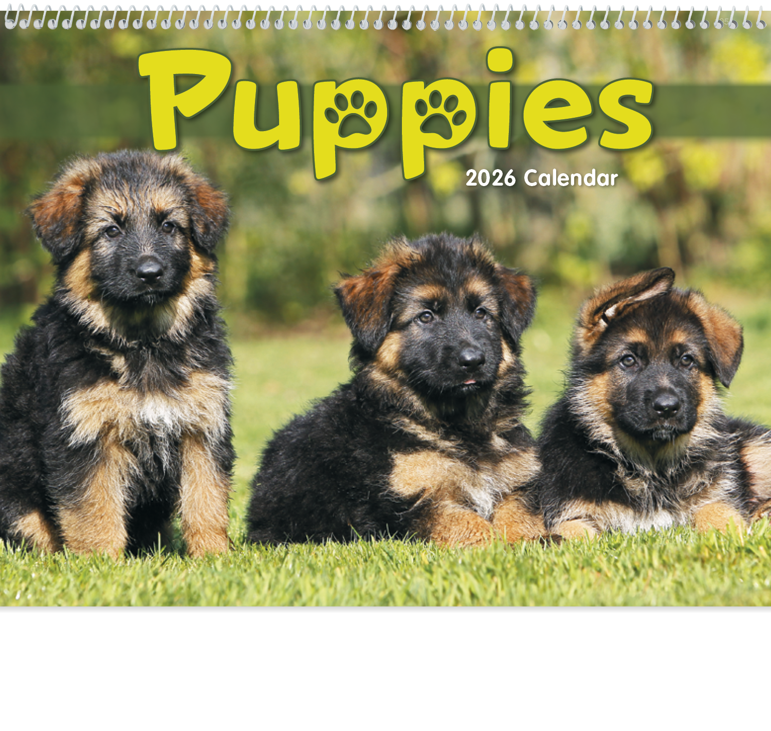 Triumph® Calendars Puppies Calendar 61