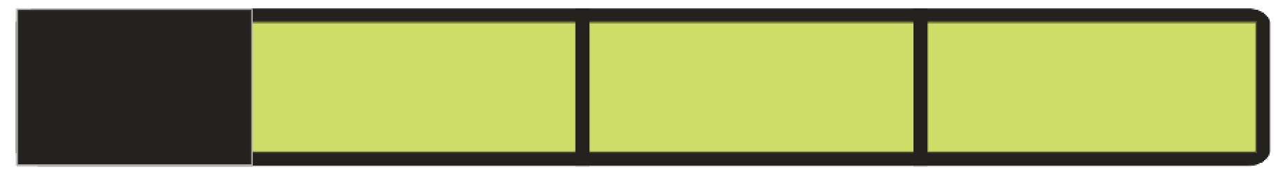 Reflective Safety Wristband 2