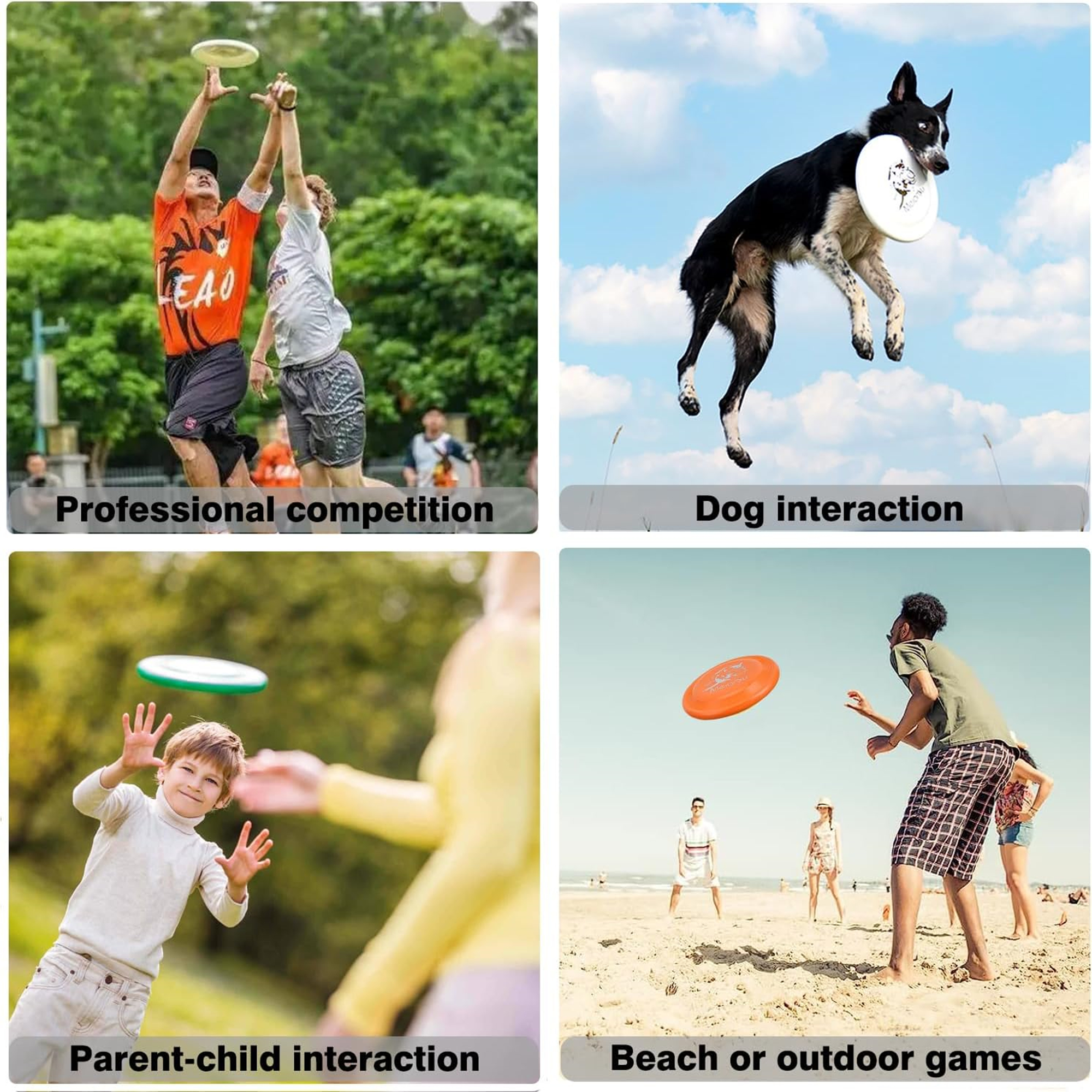 Pet Outdoor Sports Flying Disc 2