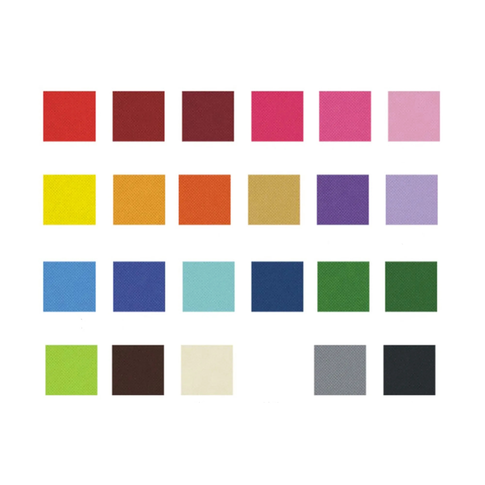 MOQ50 Non Woven Insulated Handbag 2