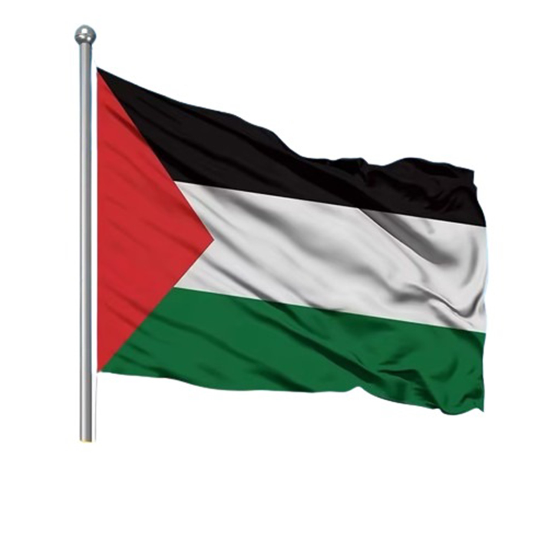Spring Polyester Fabric Flag 4