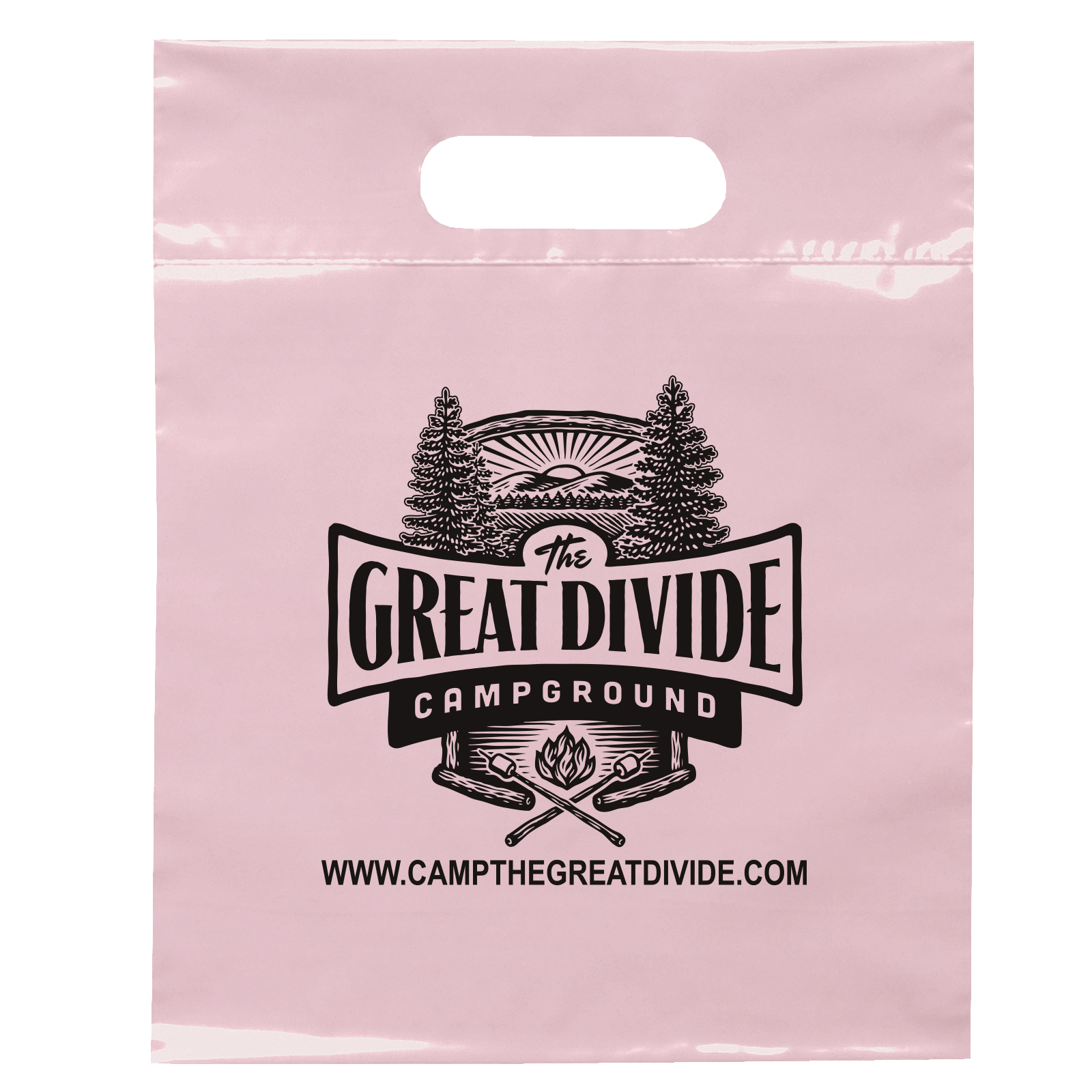 Die Cut Handle Bag - 9 1/2W x 12H - Flexo Ink Print 23